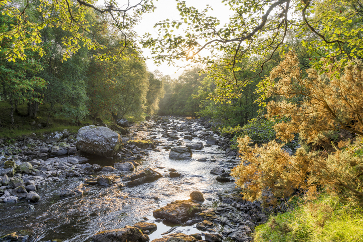 Exciting Activities to Enjoy at Dovecot Caravan Park