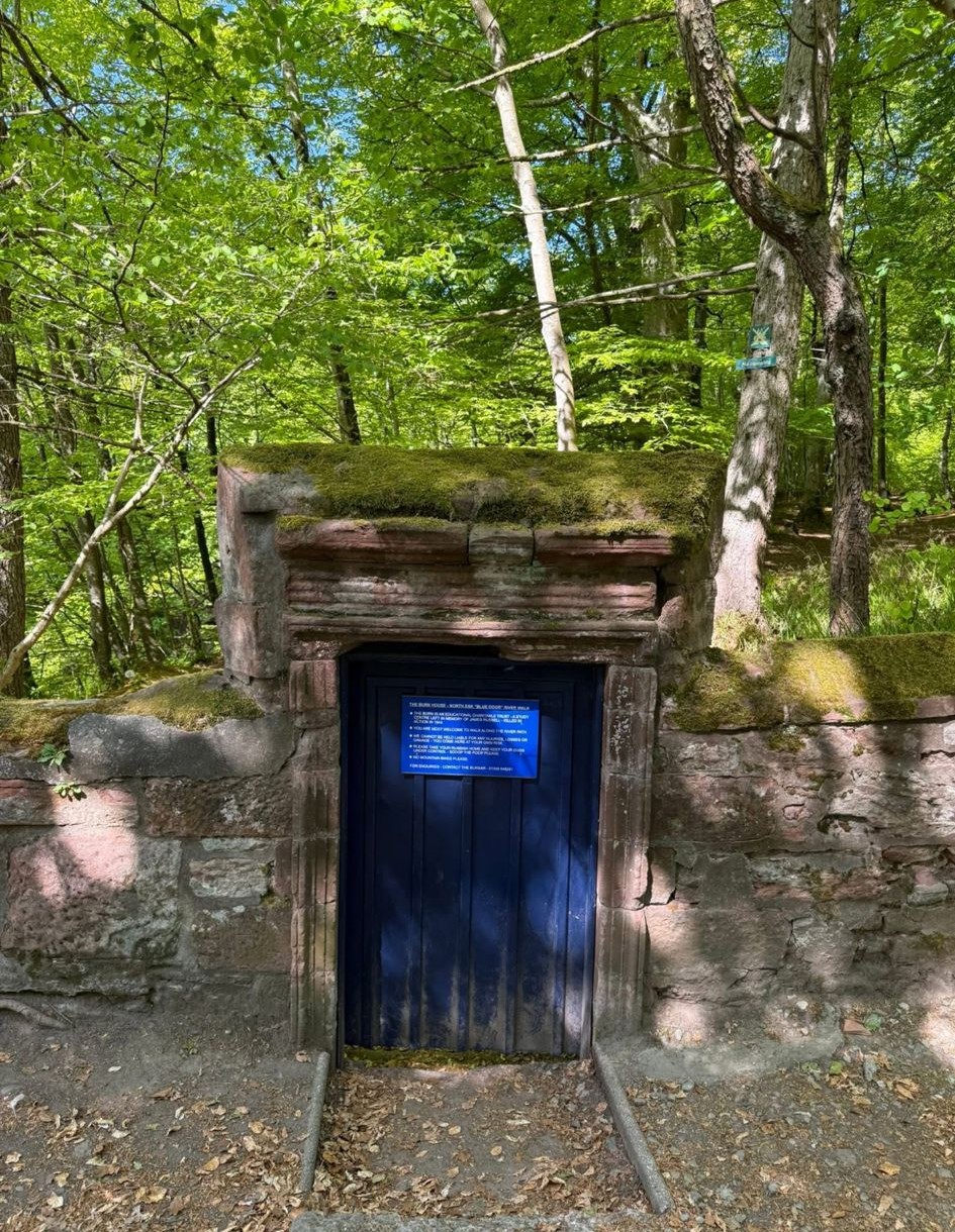 Historic woodland feature near Laurencekirk