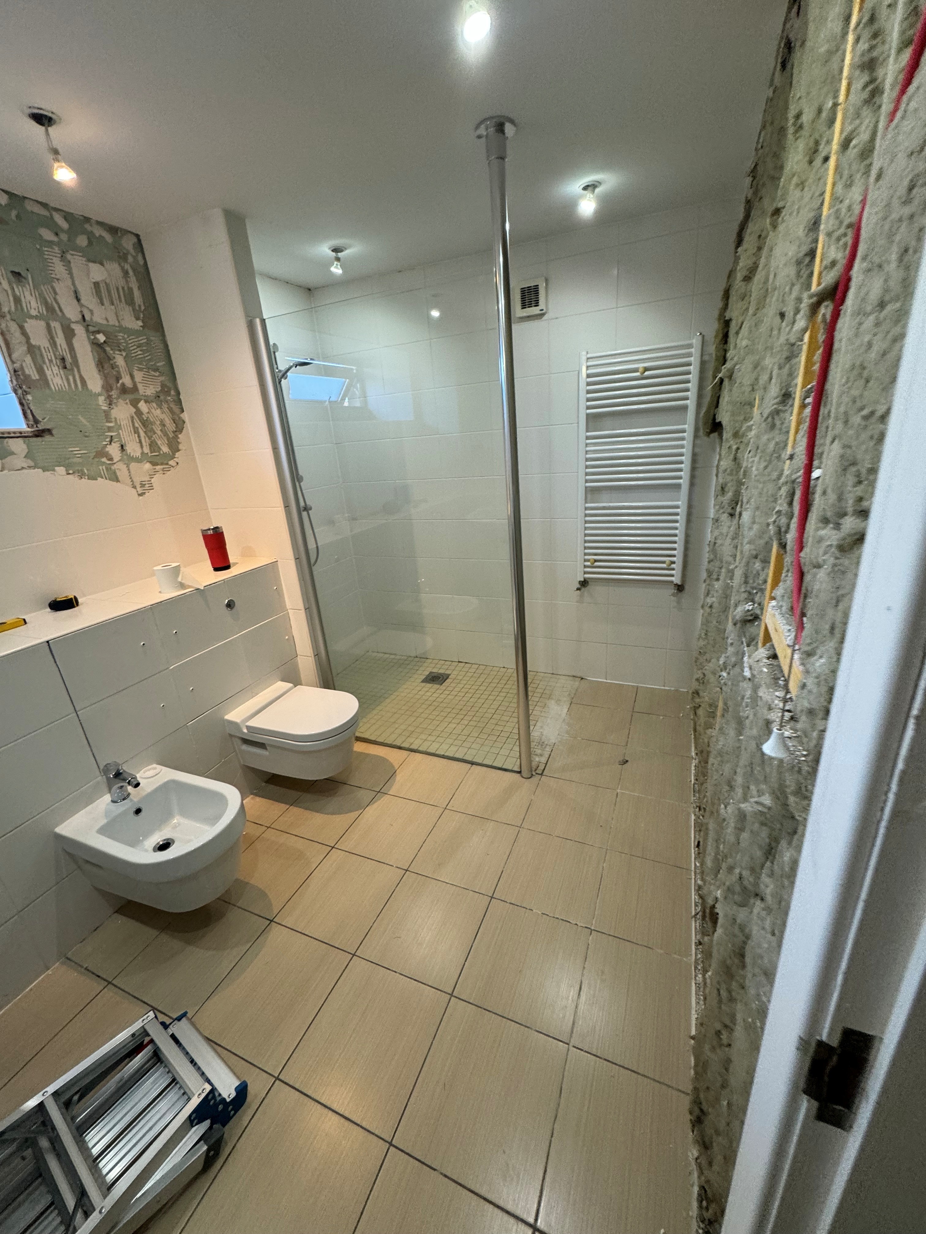 Bathroom Transformation before